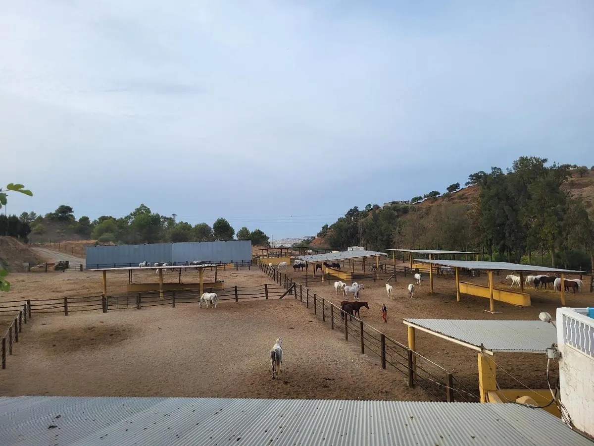 Finca Palmers 미하스 스페인